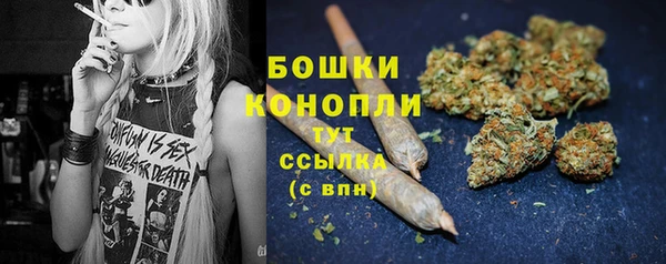 хмурый Семилуки