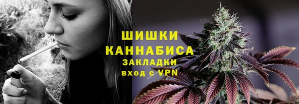 СК Сафоново
