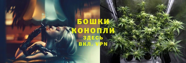 молекула духа Армянск