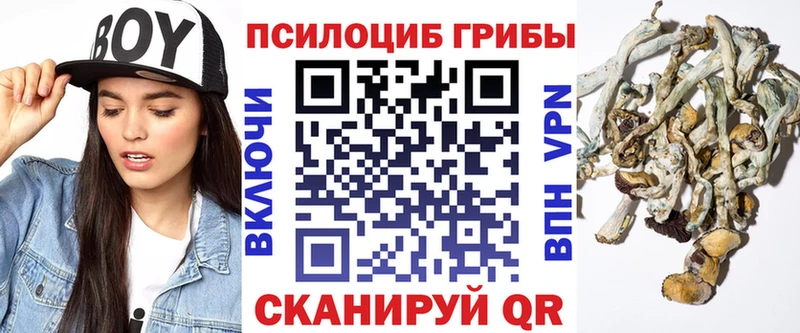 Псилоцибиновые грибы прущие грибы  Байкальск 
